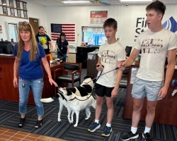 a woman and two boys holding two dogs on leashes